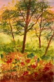 Mattinata all'aperto - 25 x 35 cm